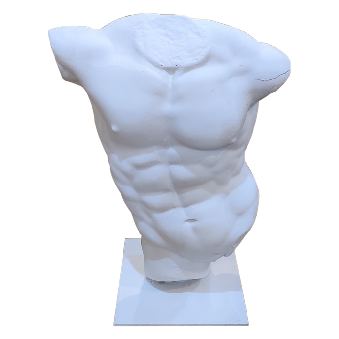 Handmade Fiberglass Classical Male Body Sculptures | Suitable For Decor or Display, Modern, Durable and Stylish